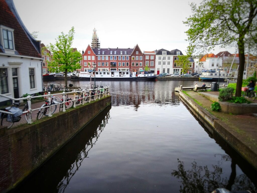bluebird haarlem hypotheek, hypotheekadvies in Haarlem